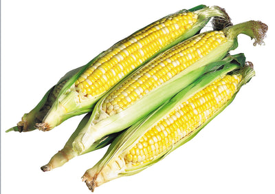 CORN BULK [1 ea]