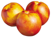 NECTARINE