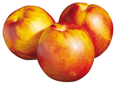 NECTARINE