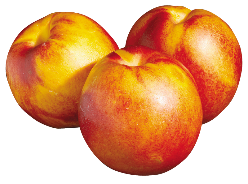 NECTARINE