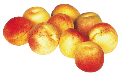 APRICOTS