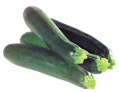 SQUASH ZUCCHINI LOCAL