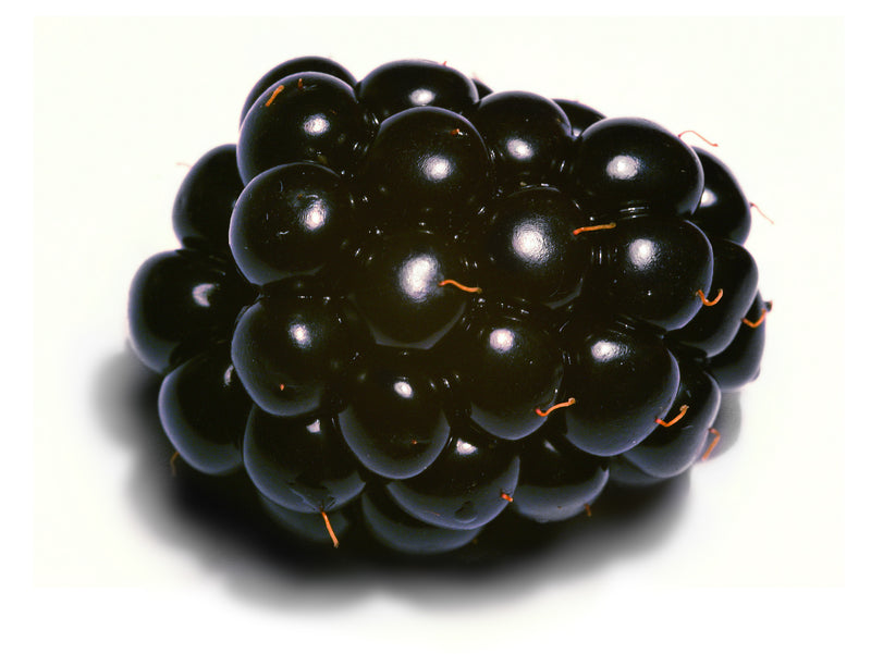 BLACKBERRIES [1 ea]