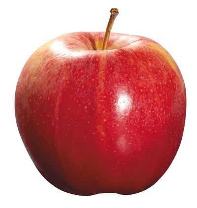 APPLE ROYAL GALA
