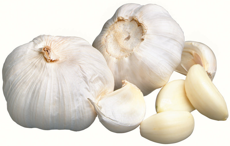 GARLIC ORGANIC 2PK [85 g]