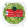 LETTUCE BOSTON [1 ea]