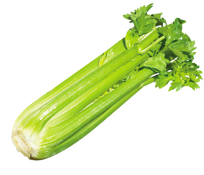 CELERY [1 ea]