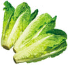 ROMAINE HEARTS
