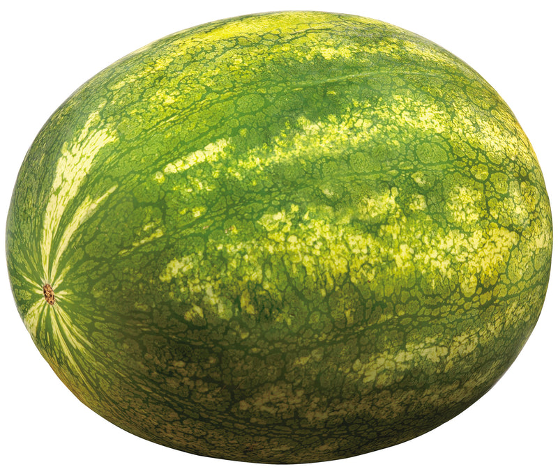 WATERMELON  LARGE WHOLE LOCAL [1 ea]