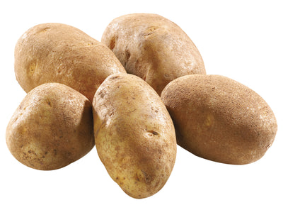 POTATO PEI 10 LB RUSSET