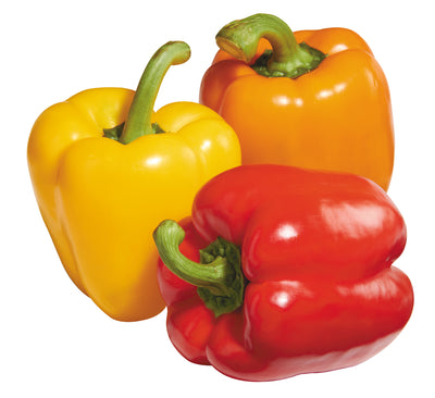 PEPPER RAINBOW 3PK [1 pkg]