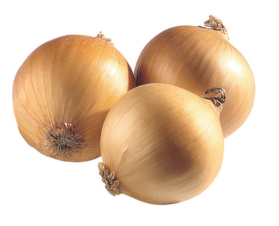 ONION 2 LB BAG
