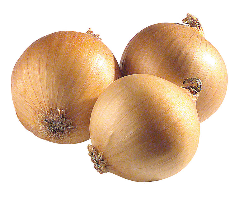 ONION 2 LB BAG