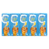 COMP LEMON ICE TEA 10x200ml [10 cs]