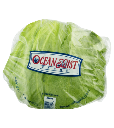 LETTUCE ICEBERG [1 ea]