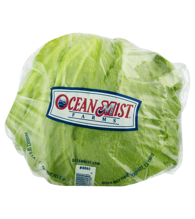 LETTUCE ICEBERG [1 ea]