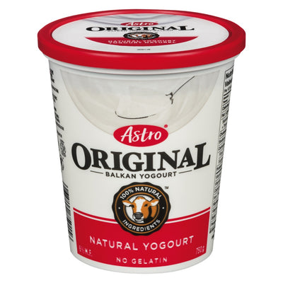 ASTRO YOGOURT BALKAN STYLE [750 GM]
