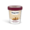 HAGDAZ VAN ALMND ICE CREAM [450 ml]