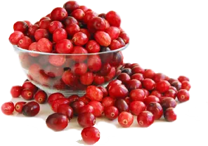 CRANBERRIES 12OZ
