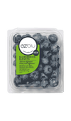 BLUEBERRIES [6 oz]