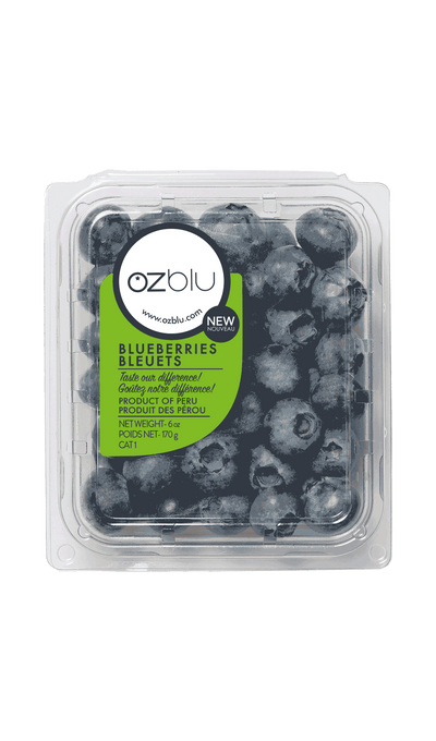 BLUEBERRIES [6 oz]
