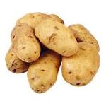 POTATO 5LB NEW WHITE N.B