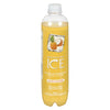 SPARKLING ICE COCONUT PINEAPPL [1 ea]