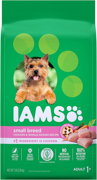 IAMS PROACTV ADULT SML/TOY BRE