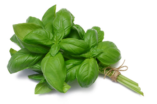BASIL 80G [1 pkg]