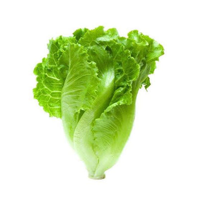 BABY LETTUCE BAG [1 pkg]