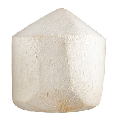 YOUNG COCONUT [1 ea]