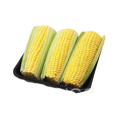 CORN TRAYED