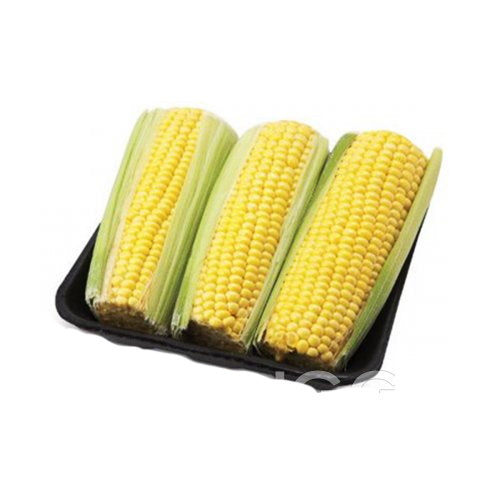 CORN TRAYED