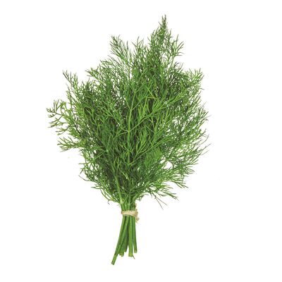 DILL