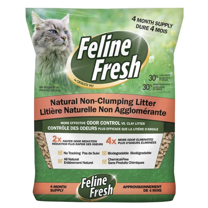 FELINE FRSH PINE LITTER 20lb