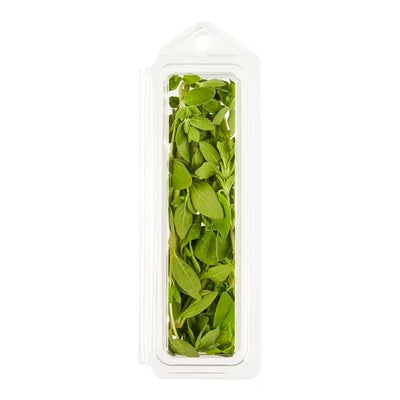 FRESH OREGANO [1 ea]