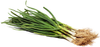 BUNCHED GREEN GARLIC [1 ea]