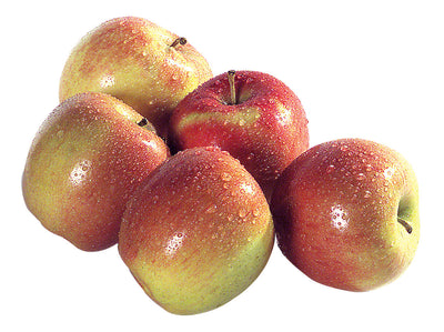 APPLE GRAVENSTEIN 3LB