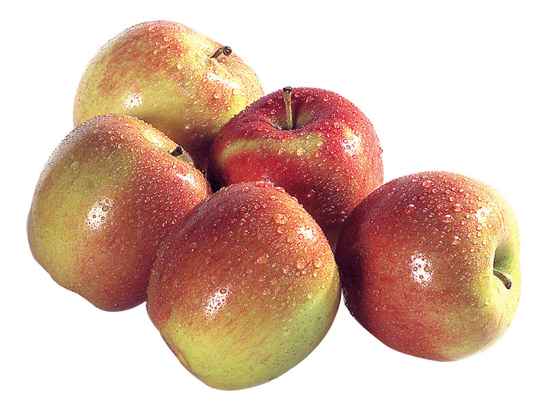 APPLE GRAVENSTEIN 3LB