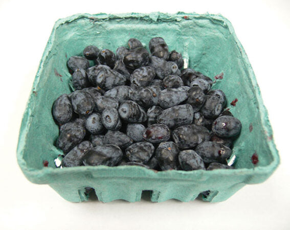 HASKAP BERRIES PINT [1 pint]