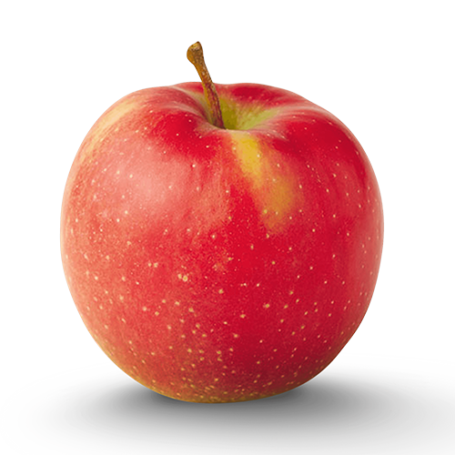 APPLE JONAGOLD