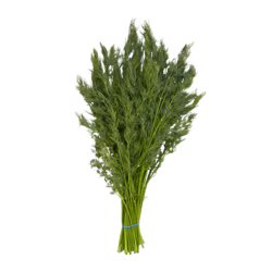 FRESH ORGANIC DILL [1 ea]