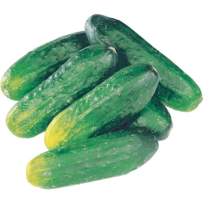 CUCUMBERS PICKLING 3L