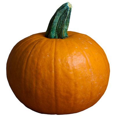 PUMPKIN PIE [1 ea]