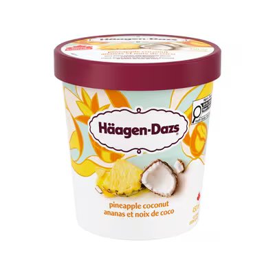 HAAGEN DAZS PINEAPPLE COCONUT ICE CREAM 450ml