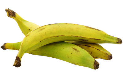 PLANTAIN