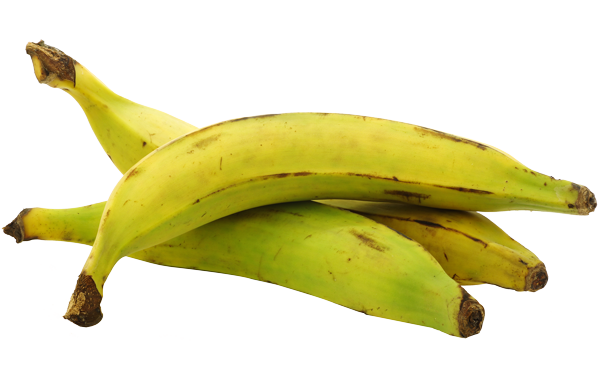 PLANTAIN
