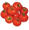 TOMATO FIELD LOCAL