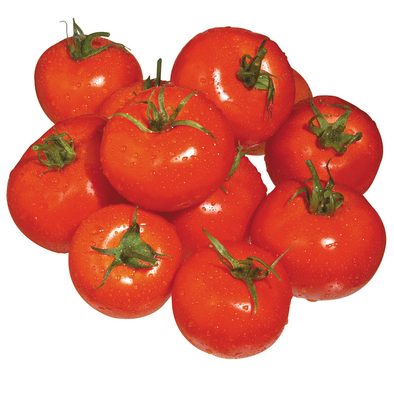 TOMATO FIELD LOCAL