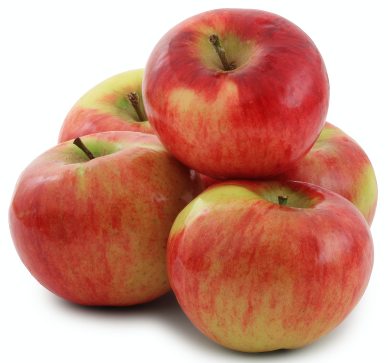 APPLE JERSEY McINTOSH 3LB